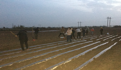 8b8e884f81d24cefa26c1a286702e9d8.png 8b8e884f81d24cefa26c1a286702e9d8.png