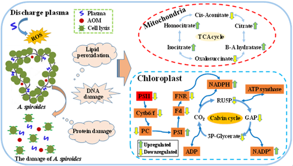 3cea4cdd143e40bc8863f9371810e8b4.png QQ截圖20210426165228_副本.png